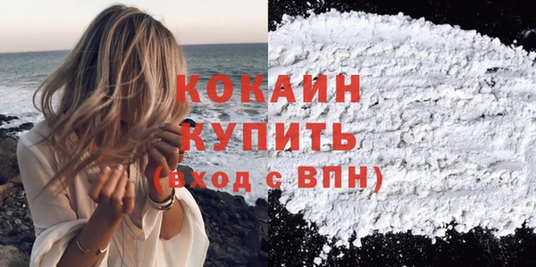 ПСИЛОЦИБИНОВЫЕ ГРИБЫ Лихославль