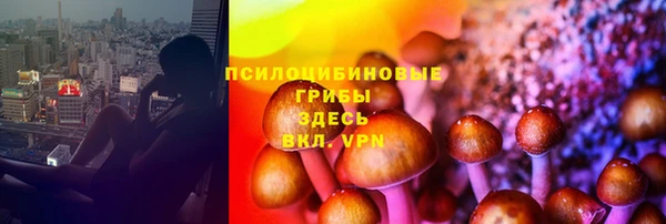 ПСИЛОЦИБИНОВЫЕ ГРИБЫ Лихославль