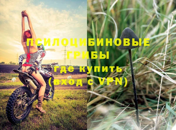 ПСИЛОЦИБИНОВЫЕ ГРИБЫ Лихославль