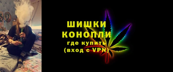 ПСИЛОЦИБИНОВЫЕ ГРИБЫ Лихославль